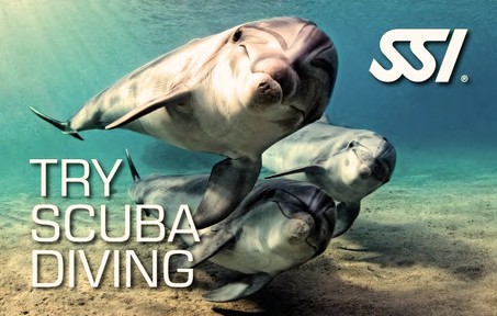 Try Scuba Diving