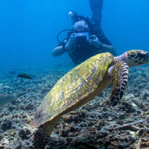 Fun Diving - Diving Package: 6 dives - (3 Days )